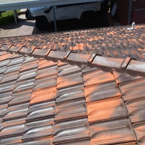 roof cleaning