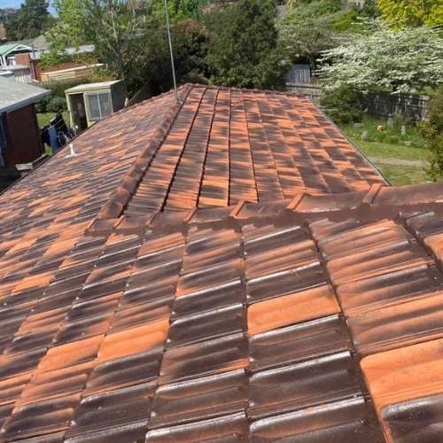 roof cleaning