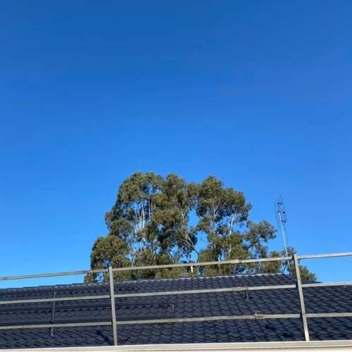 tile roof painting Noosa