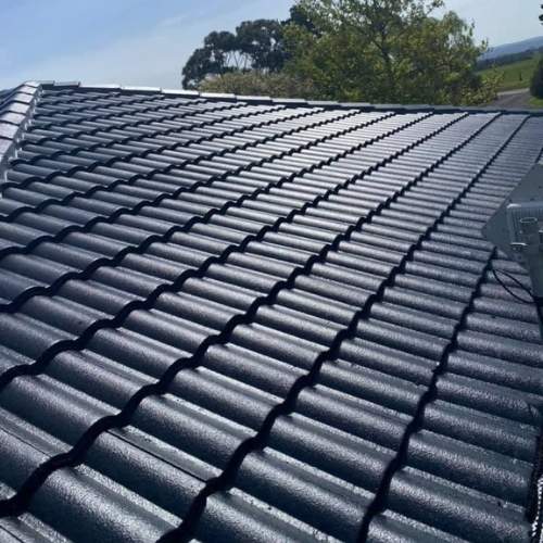 roof painting Noosa