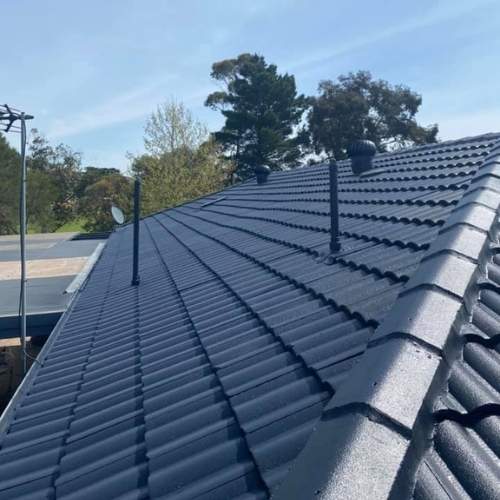 roof painting Noosa