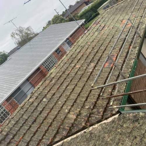 roof cleaning - before