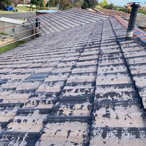 tile roof painting - before
